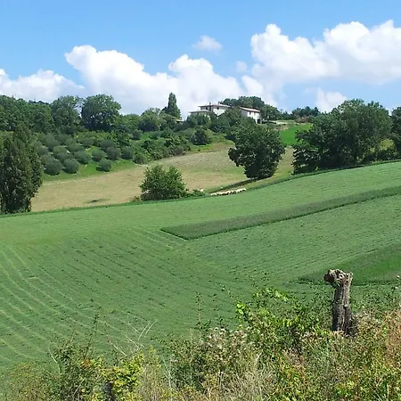 Il Ciocco Pensjonat 3*