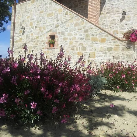 Guest house Il Ciocco