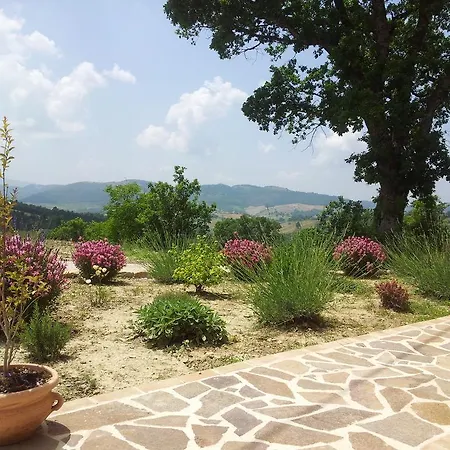 Il Ciocco