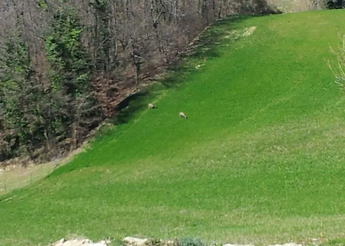 Il Ciocco Konukevi Gualdo Tadino